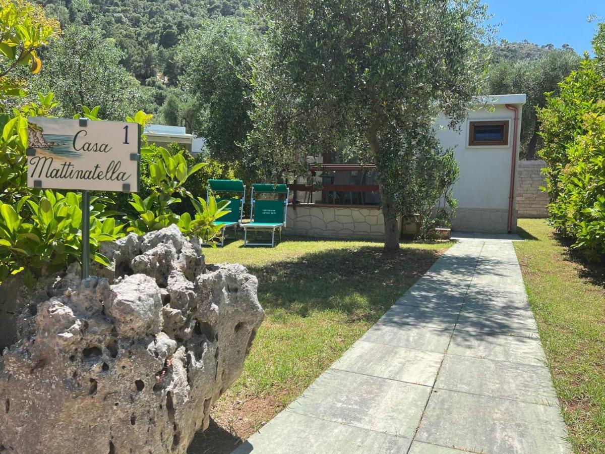 Agriturismo Antichi Ulivi Mattinata Zewnętrze zdjęcie