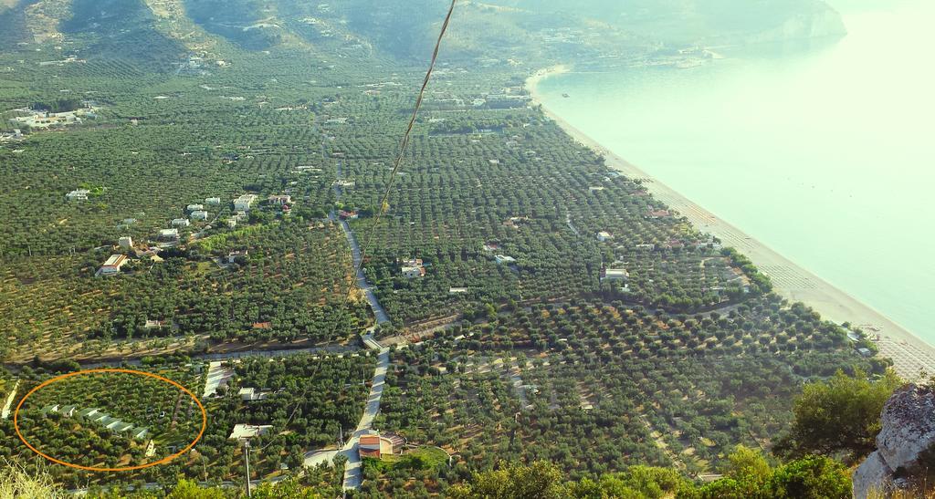 Agriturismo Antichi Ulivi Mattinata Zewnętrze zdjęcie
