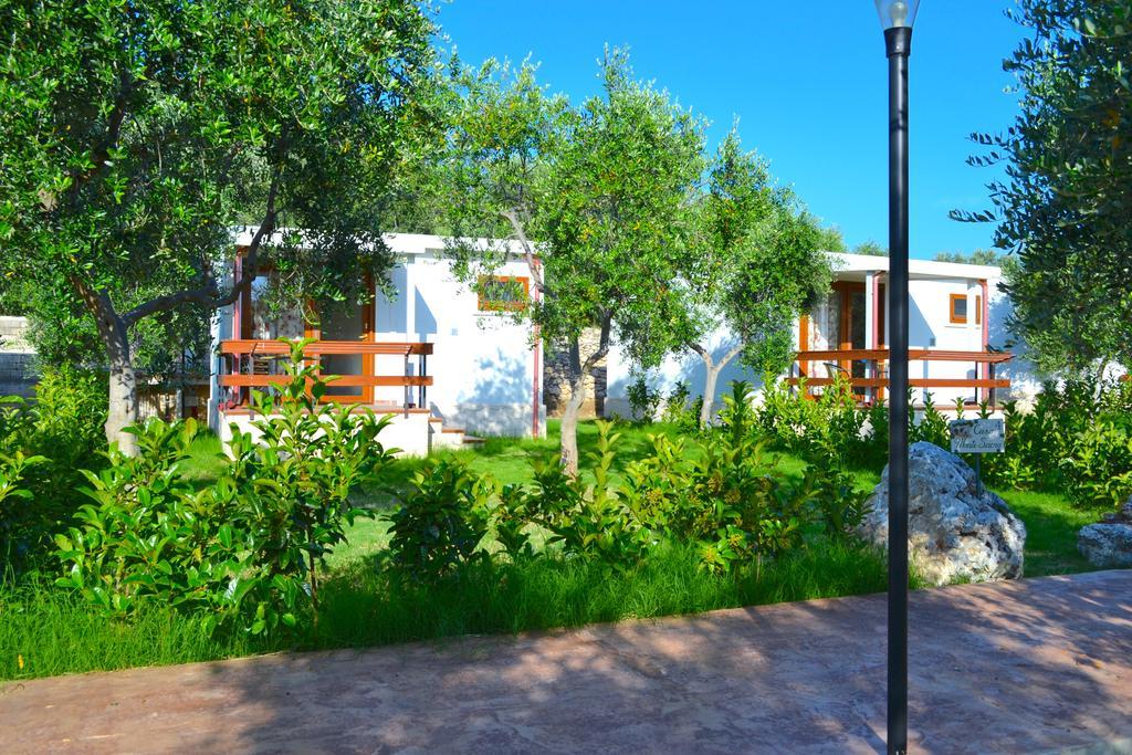 Agriturismo Antichi Ulivi Mattinata Zewnętrze zdjęcie