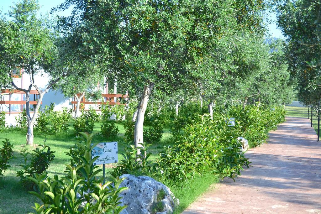 Agriturismo Antichi Ulivi Mattinata Zewnętrze zdjęcie