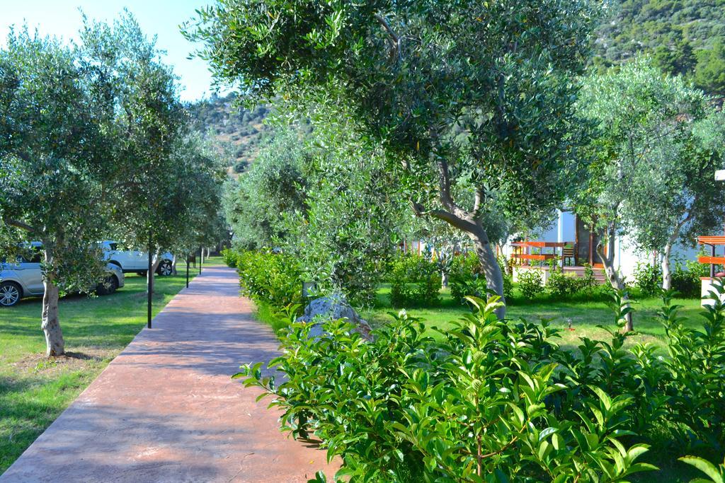 Agriturismo Antichi Ulivi Mattinata Zewnętrze zdjęcie