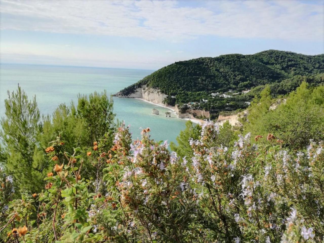Agriturismo Antichi Ulivi Mattinata Zewnętrze zdjęcie
