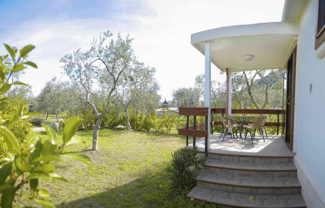 Agriturismo Antichi Ulivi Mattinata Zewnętrze zdjęcie